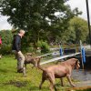 hundefamilien - treffen 09.09.2017   24